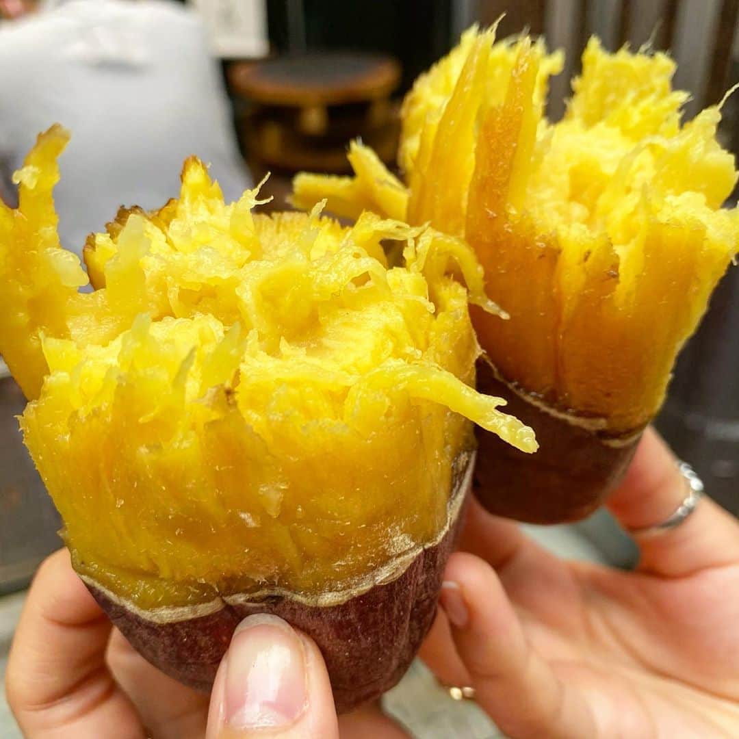 ウルフのグルメインスタ