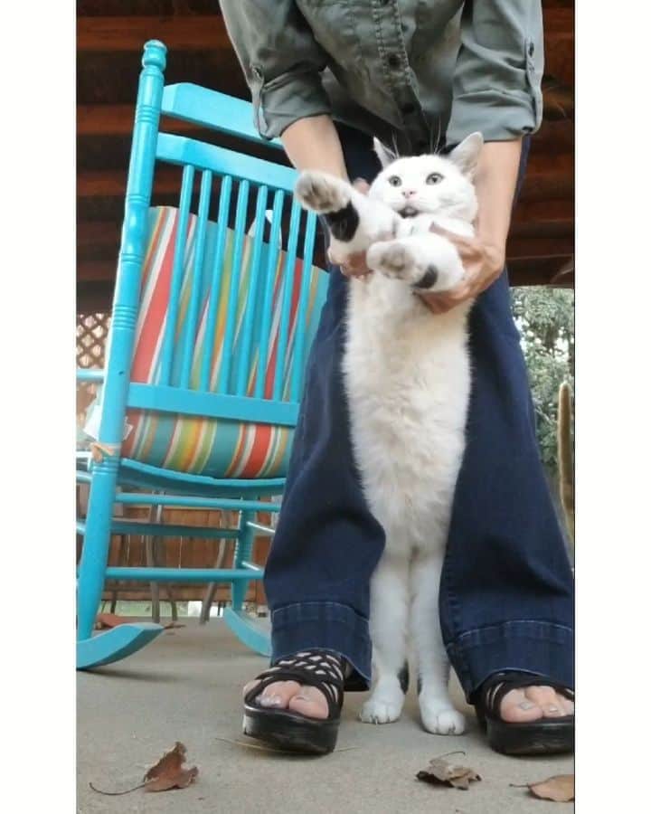 Garyのインスタグラム：「Gus gets manhandled #gustopher」