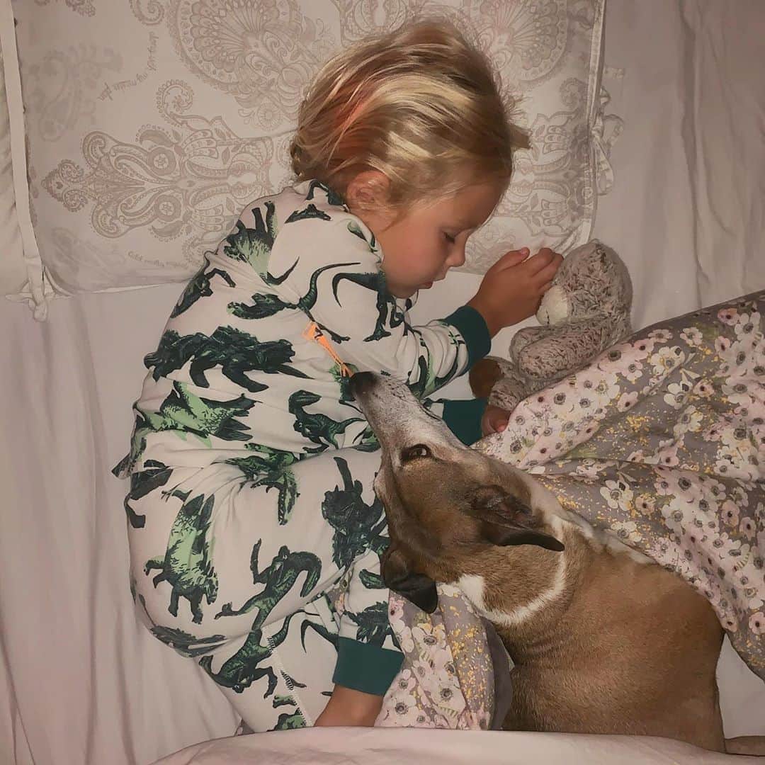 レイチェル・ブレイセンさんのインスタグラム写真 - (レイチェル・ブレイセンInstagram)「I thought I’d lost him. I was getting ready for bed just now and one of the last things I do every evening is let the dogs out for a minute so they can pee. I did my usual thing; a tiny whistle and “let’s go outside!” and all the dogs came running. But - no Ringo. Out of the four he is normally the first one to bolt out the door. ⁣ ⁣ “Strange”, I thought. “Maybe he is asleep on one of the dog beds.” He wasn’t there. “Maybe he is on the couch, but I didn’t see him?” Nope. No Ringo. I start to frantically search through the entire house, suddenly realizing I hadn’t paid much attention to him all evening. “Did he eat?” I wonder. “He ate when I fed everyone, right?” “...or did he?”.⁣ ⁣ When WAS the last time I saw Ringo? I am panicking now because I truly can’t remember and he is nowhere to be found. I put Lea to bed at 7pm. It’s 9 now. When was the last time I saw him?? We had a busy evening and with dinner and bath time and bedtime I truly have no clue. Has Ringo become the neglected first child that disappears for days and no one even notices?? How did I allow this to happen?? WHERE IS HE????!?! ⁣ ⁣ I tell Dennis, in a panic. Ringo is gone. He’s not in the house. He must have gotten out. He’s run away. I’m the worst mom. I can’t find him anywhere.   And then it hits me. The one room of the house I haven’t checked is Leas. Her door is always closed when she sleeps. He couldn’t have gone in there because he couldn’t possibly have opened the door...⁣ ⁣ ...unless someone opened it for him, of course. ⁣ ⁣ There they were. My babies😭 Sleeping soundly under the same covers, his little head resting on her legs, her arm reaching for him in her sleep.⁣ ⁣ @dennisfromsalad you can call off the search. I take it all back. Everyone is here and I’m still a good mom (albeit slightly scattered and a touch neurotic, I admit) but the point is ALL IS WELL. The wellest. 😍😅  Good night👋」10月15日 10時45分 - yoga_girl