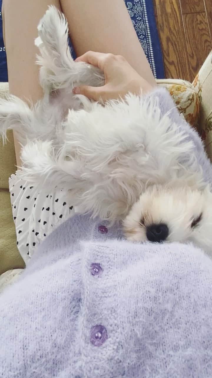 YUYUのインスタグラム