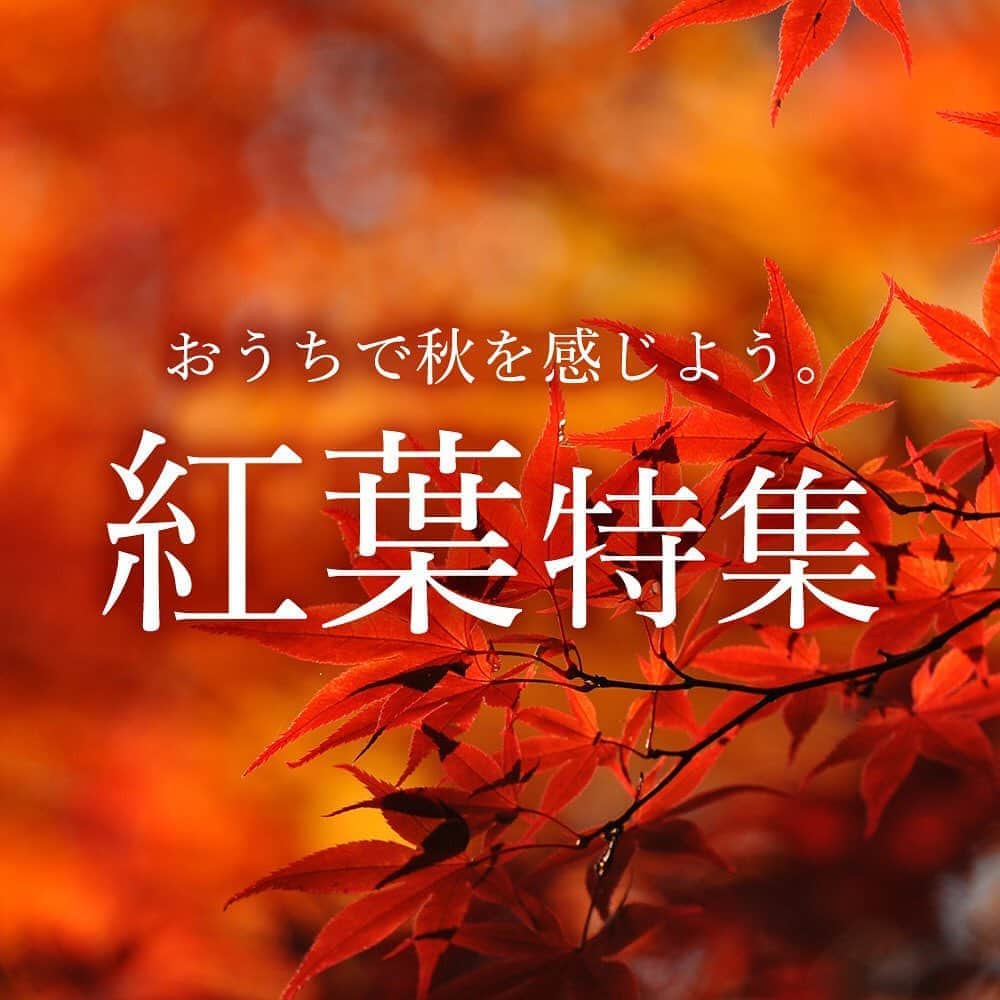 みどりで、つながる GreenSnapのインスタグラム