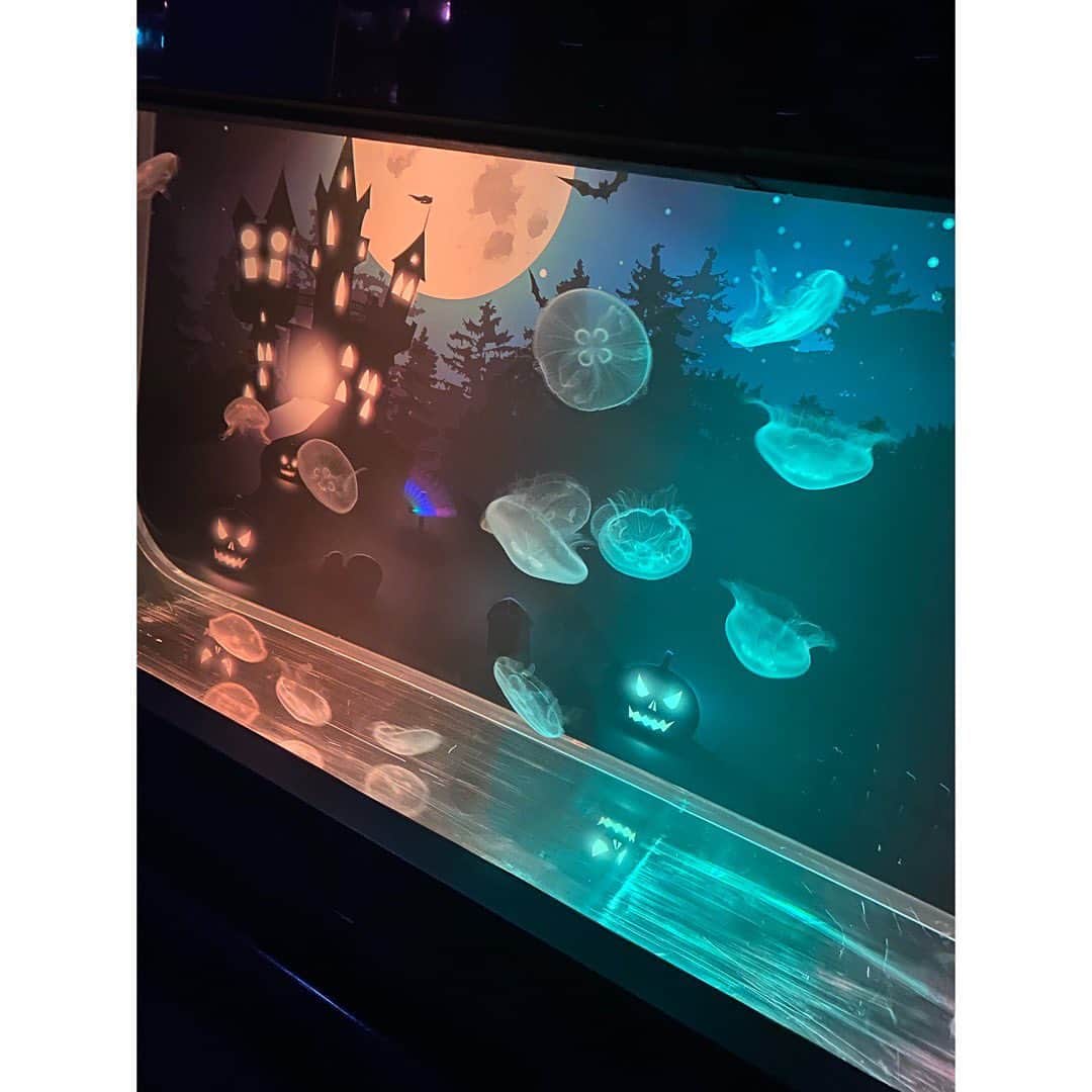 堀友理子のインスタグラム：「クラゲとハロウィンのコラボ🎃👻 クラゲが綺麗過ぎて癒された✨ すみだ水族館、かなりオススメ✨  #東京スカイツリー #ソラマチ #すみだ水族館  #クラゲ #チンアナゴ #ハロウィン」