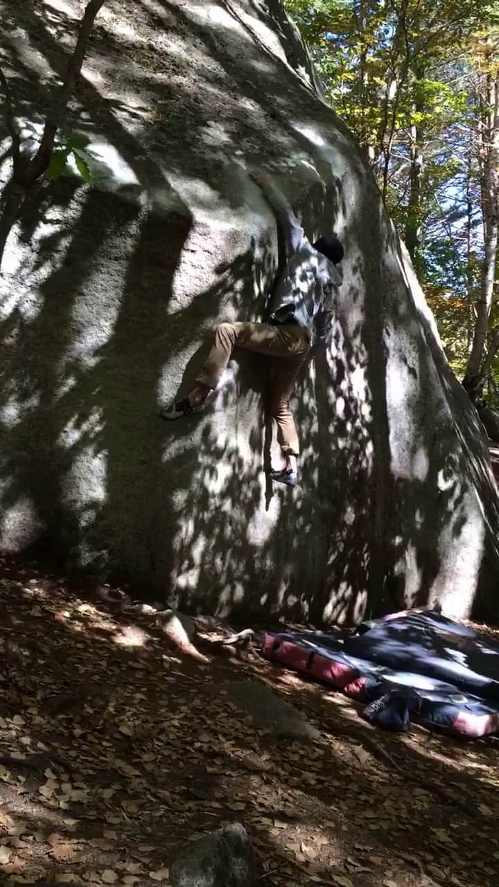 ハキム・カスバンのインスタグラム：「⁣ From five years ago, just adding to the archives. ⁣ ⁣ Love the climb, sketchy top out and all - but it really is all about being in the forest with this amazing light, having fun with friends climbing blocs.⁣ ⁣ @heavy.japan⁣ ⁣ #bouldering #climbing」