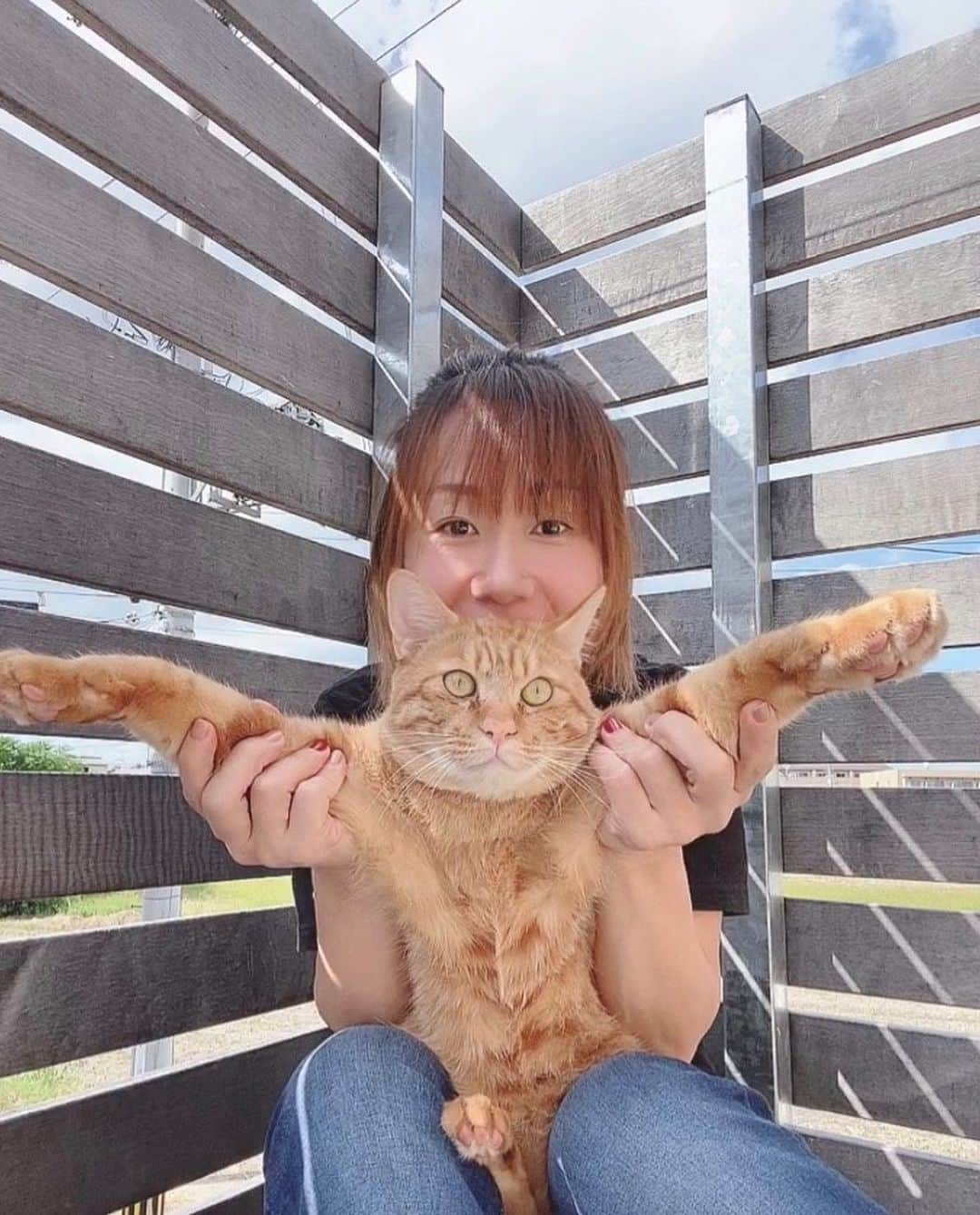 佐野優子さんのインスタグラム写真 - (佐野優子Instagram)「. 1年ちょっとで巨大な猫に。。。 . . ねこバスみたい😅 . . しつこく触ってごめんね😂 ฅ˒˒ ฅ˒˒ #ちゃとら  #ちゃとら男子部  #巨大ねこ  #猫バス  #ねこバス」10月15日 11時13分 - yuko12345