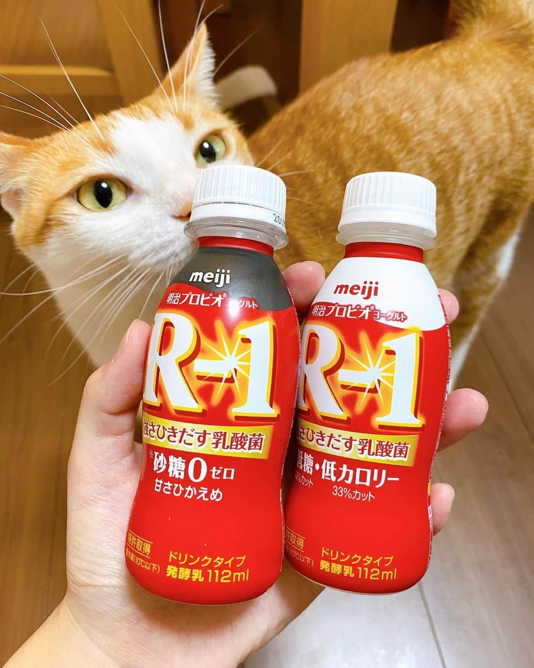 はなぼくろきなこさんのインスタグラム写真 - (はなぼくろきなこInstagram)「R-1、ついに念願の甘さ控えめの砂糖0が出た！ 普通のR-1飲んでたら甘すぎて、すぐに低糖に変えたけどまだ甘いな…と思いながら毎日飲んでたんやけど、砂糖0をスーパーで見つけた時ほんとに嬉しかった😂ありがとうmeiji🥛 欲を言えばタブレットタイプとか作れないかな？ヨーグレットとハイレモンみたいなやつ。ドリンクとヨーグルトタイプしかないのには訳があるんかな〜🥛  #アールワン #R1 #きなちょのおうちのもーにゃん #meiji」10月15日 11時36分 - hanabokurokinako