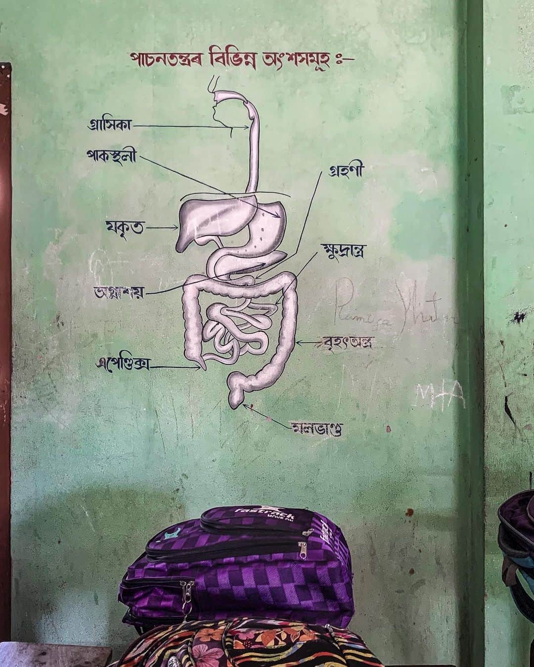 ジョン・スタンメイヤーさんのインスタグラム写真 - (ジョン・スタンメイヤーInstagram)「A tale of unusual connected moments, told through the narrative of bags scattered across India. On my third day, in the corner of a dhaba in Amritsar, Punjab, slightly more than a paper airplane toss from the Golden Temple, was a bag on the table. The soft spoken lady who sat next to us asked if we'd watch over her pinkish mauve bag while she used a nearby bathroom. Never did she realized how beautiful it was against a pink wall behind her not so beautiful uneaten food… A young girl's purple school bag in a classroom of science in Dhubri, Assam. She left it resting in front of a wall mural, reminding us that under our skin, we are all the same… And a locker at a garment factory located in the middle of nowhere Benganur, in the southern state of Karnataka, overflowing with purple and pink handbags. The wonderful ladies who own these colors sew clothing you're likely wearing from the Gap, Columbia and H&M, earn just 323 Rupees (USD 4.40) per day. Everything around us has a story, connecting all of us. ⠀⠀⠀⠀⠀⠀⠀ India’s Daunting Challenge: There’s Water Everywhere, And Nowhere - Chapter 8 of the @outofedenwalk, my latest story in the August 2020 of @natgeo magazine. ⠀⠀⠀⠀⠀⠀⠀ #triptych #nothingspecial #bags #handbags #purple #pink #mauve #wasterfood #schoolbag #biology #intestins #locker #garmentfactory #amritsar #punjab #dhubri #assam #benganur #karnataka #peace #love #india @natgeo @outofedenwalk #walkingindia #edenwalk」10月15日 11時49分 - johnstanmeyer