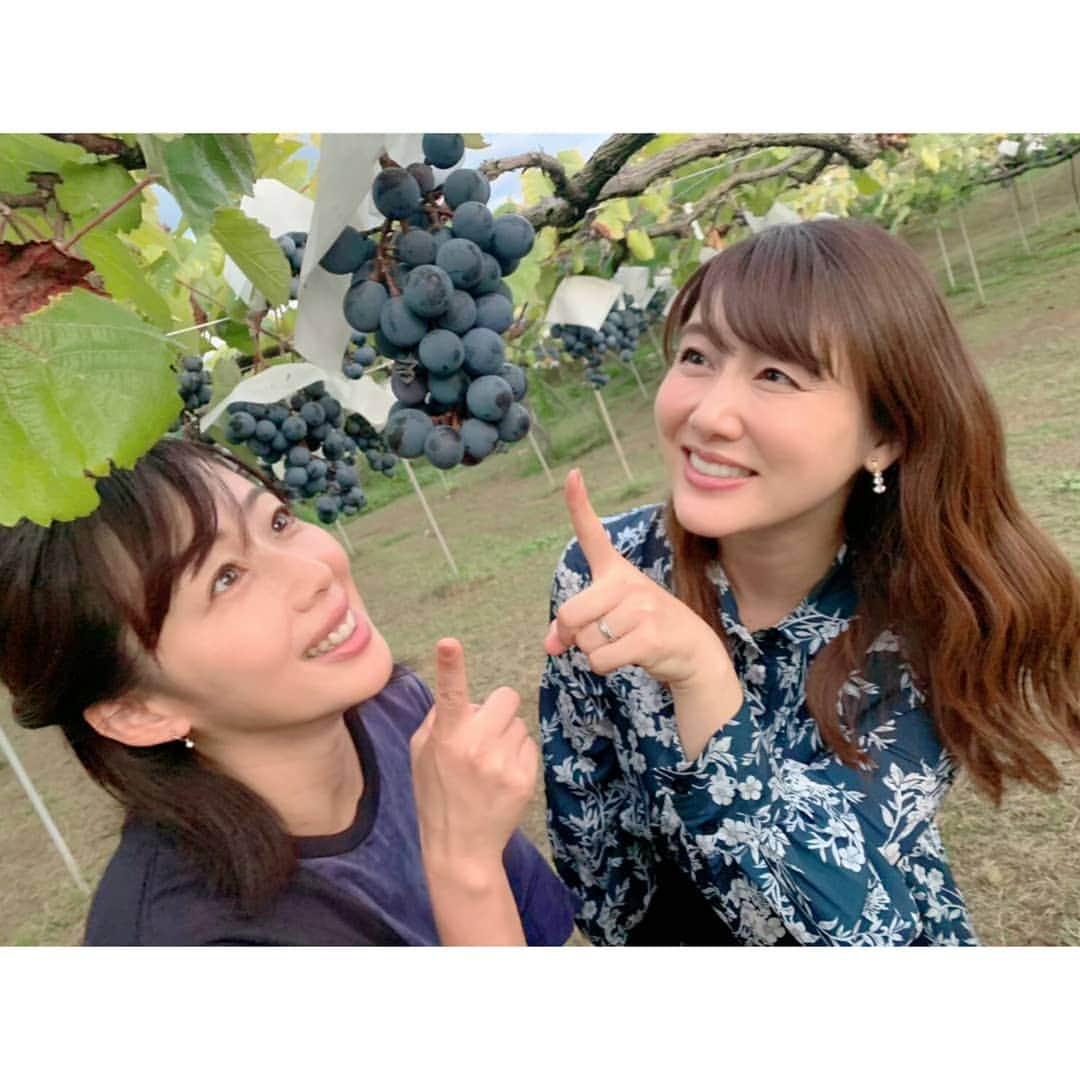 ハーモニープロモーションさんのインスタグラム写真 - (ハーモニープロモーションInstagram)「. #安めぐみ . 10/17(土)8：30～ 関西テレビ/フジテレビ系 「土曜はナニする！？」内 《日帰りぷらっとりっぷ》に出演します🛤️ 仲良しの #井上和香 さんと甲府を旅してきました🚙 ぜひご覧ください📺 . @yasu_megumi_official #土ナニ #日帰りぷらっとりっぷ #日帰り #旅行 #trip #harmonypromotion」10月15日 12時00分 - harmonypromotion_official