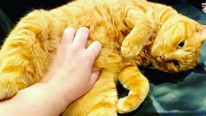 Shinnosukeのインスタグラム