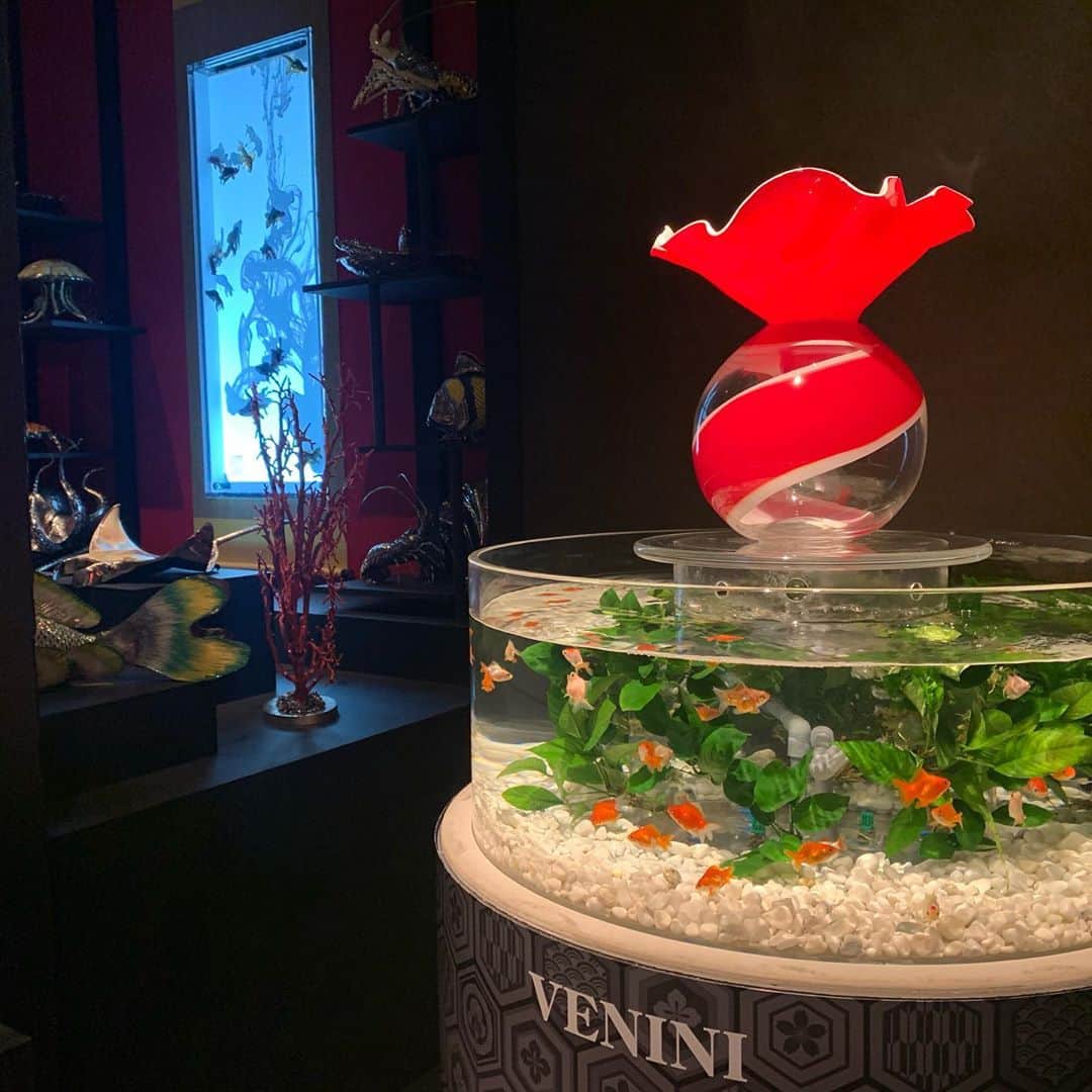 のインスタグラム：「こないだ、アートアクアリウムに行ってきました！！ 初めてこんな大量の金魚を見て面白かったです😂 水の音で癒される空間でした✌️  前まで水族館とか落ち着いた場所がそんなに好きじゃなかったんですけど、最近ゆっくり時間が流れてる場所に行くのがすごく好きです！！！  ハロメンがたくさん行ってるからもう行った人多いと思いますが、まだの方は行ってみてね😚  #浜浦彩乃 #アートアクアリウム #日本橋 #金魚」