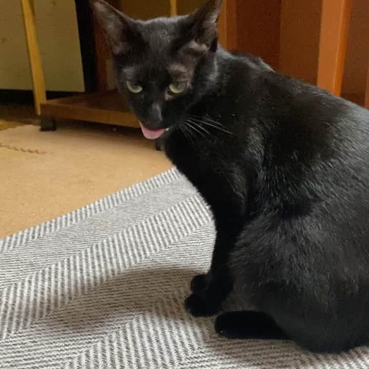 MAKO0MAKO0のインスタグラム