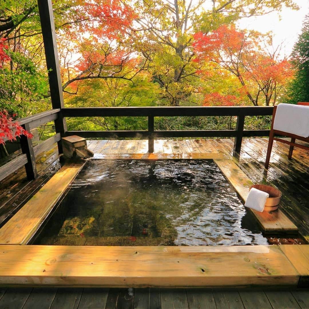 星野リゾート 界の若者旅さんのインスタグラム写真 - (星野リゾート 界の若者旅Instagram)「九州の阿蘇くじゅう国立公園内に位置する星野リゾート　界 阿蘇は、紅葉を満喫する絶好の環境です。  森にせり出すように作られた客室露天風呂からは、プライベートな環境でミズナラやもみじの彩やかに色づいた紅葉を独り占めする贅沢な湯浴みを満喫ください。🥂  #hoshinoresorts #kaiaso #星野リゾート #界阿蘇 #紅葉 #絶景 #九州 #大分 #国立公園 #温泉旅行 #秋ごよみ」10月15日 12時33分 - hoshinoresorts.kai