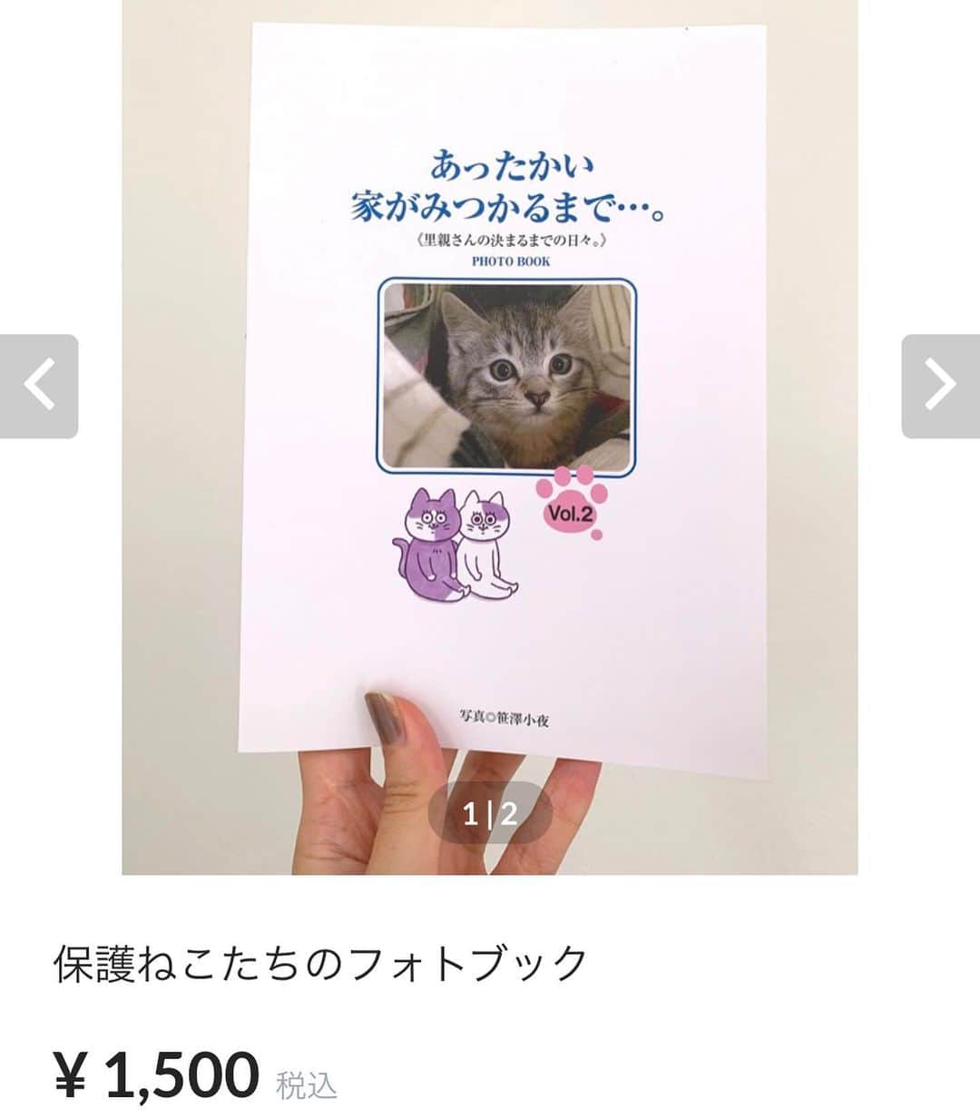 澤村 花菜さんのインスタグラム写真 - (澤村 花菜Instagram)「保護ねこたちのフォトブックを期間限定でウェブショップに追加しました🐱 売り上げは保護猫の病院代とごはん代になるので、興味のある方はプロフィールのリンクからとんでください✨  100匹くらいのかわいい猫たちが載っていて、ぐみごまの赤ちゃんの頃の写真もあり☺️💛  保護猫ってなに？っていうのは、ショップのページに詳しく書きました！  #保護猫#保護猫活動#保護猫ボランティア#猫」10月15日 12時39分 - hamchim