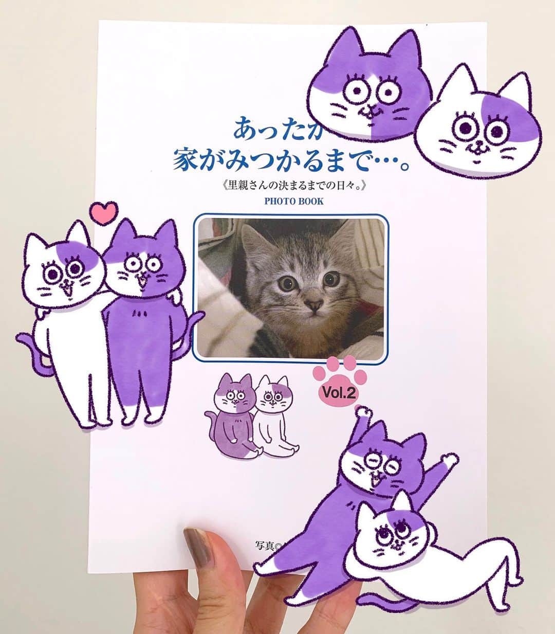 澤村 花菜さんのインスタグラム写真 - (澤村 花菜Instagram)「保護ねこたちのフォトブックを期間限定でウェブショップに追加しました🐱 売り上げは保護猫の病院代とごはん代になるので、興味のある方はプロフィールのリンクからとんでください✨  100匹くらいのかわいい猫たちが載っていて、ぐみごまの赤ちゃんの頃の写真もあり☺️💛  保護猫ってなに？っていうのは、ショップのページに詳しく書きました！  #保護猫#保護猫活動#保護猫ボランティア#猫」10月15日 12時39分 - hamchim