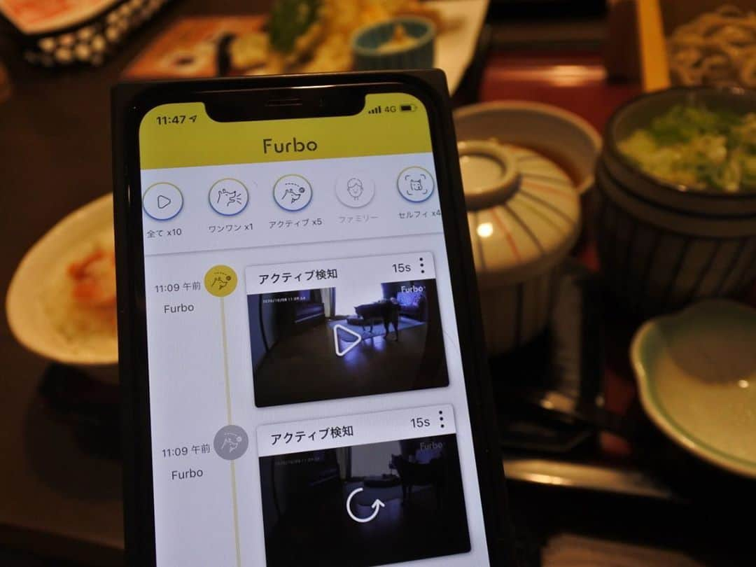 マロたんさんのインスタグラム写真 - (マロたんInstagram)「気管虚脱とわかってから、さらに心配性に🥺お留守番中に体調の変化がないかファーボで確認できるのありがたい😭 *** ドッグシッター機能のセルフィー通知でお留守番中のマロたんがファーボ見つめて(舐めてるけど笑)「おやつがほしい」タイミングがわかるのがうれしい😋自分だけ美味しいランチ食べてる罪悪感が減る🙄 *** ファーボが自動で作ってくれるドギーダイアリーも毎日楽しみ😍ほぼ寝てるか、おやつ待ってるかだけど、マロたんらしくて可愛い🥺 *** ファーボ史上最大セール開催中！マロたん専用クーポンコードmaroを使うとセール価格よりさらに¥1000オフでトータル¥10500オフ🤩プロフのURLから確認してね🐾  #Furbo #ファーボ #ドッグカメラ #ドッグシッター #PR」10月15日 12時39分 - minapple