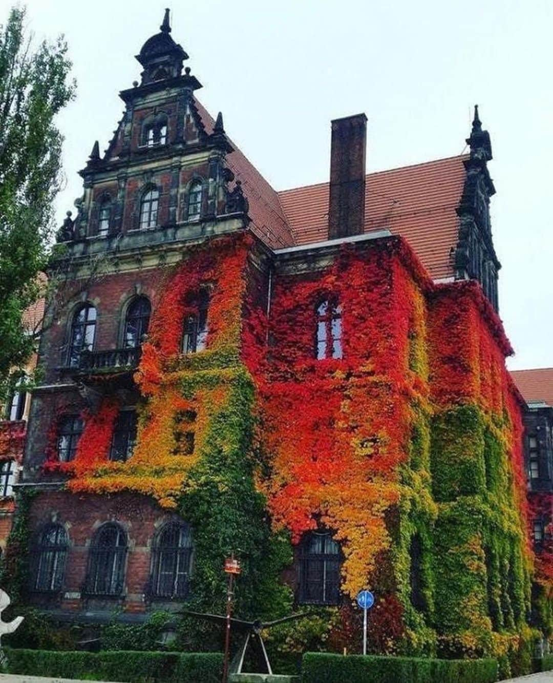 Crazy Roomsさんのインスタグラム写真 - (Crazy RoomsInstagram)「How amazing is this house 😍🍂 Please DM for credit!! #crazyrooms #cutestrooms #falls」10月15日 13時04分 - crazyroomss