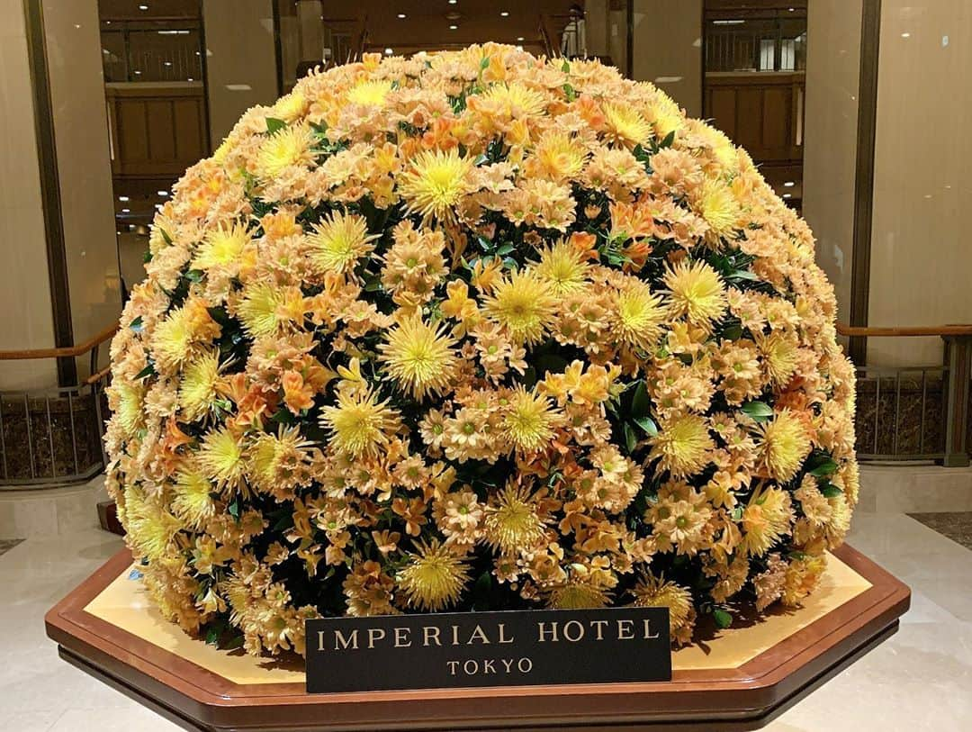 Miku Hirata 平田未来さんのインスタグラム写真 - (Miku Hirata 平田未来Instagram)「#imperialhotel (@imperialhotel_jp_official )🌼 お花たくさん✨  久しぶりにお出かけできました♡  楽しいことたくさんで 何からアップしようかな😊💐  ジュエリーの展示会を見てきました💎 キラキラの空間で🤩  私の緊張が子供にも伝わり👶 ドキドキでした💍  明日からもしばらく雨のようですが☔️ 傘対策もだいぶ慣れてきたので…🌂  行事も終わったことですし 少し羽を伸ばす予定です🐣🕊気持ちだけ🙄  Dress👗 #chesty @chesty_official   #帝国ホテル #帝国ホテル東京 #帝国ホテルロビー #帝国ホテルプラザ #帝国ホテルプラザ東京 #ジュエリーデザイン #ジュエリーショップ #ジュエリー展示会 #展示会ディスプレイ #子連れお出かけ #ママコーディネート #ワンピースコーディネート #チェスティコーデ #チェスティワンピース」10月15日 18時33分 - miku.hirata