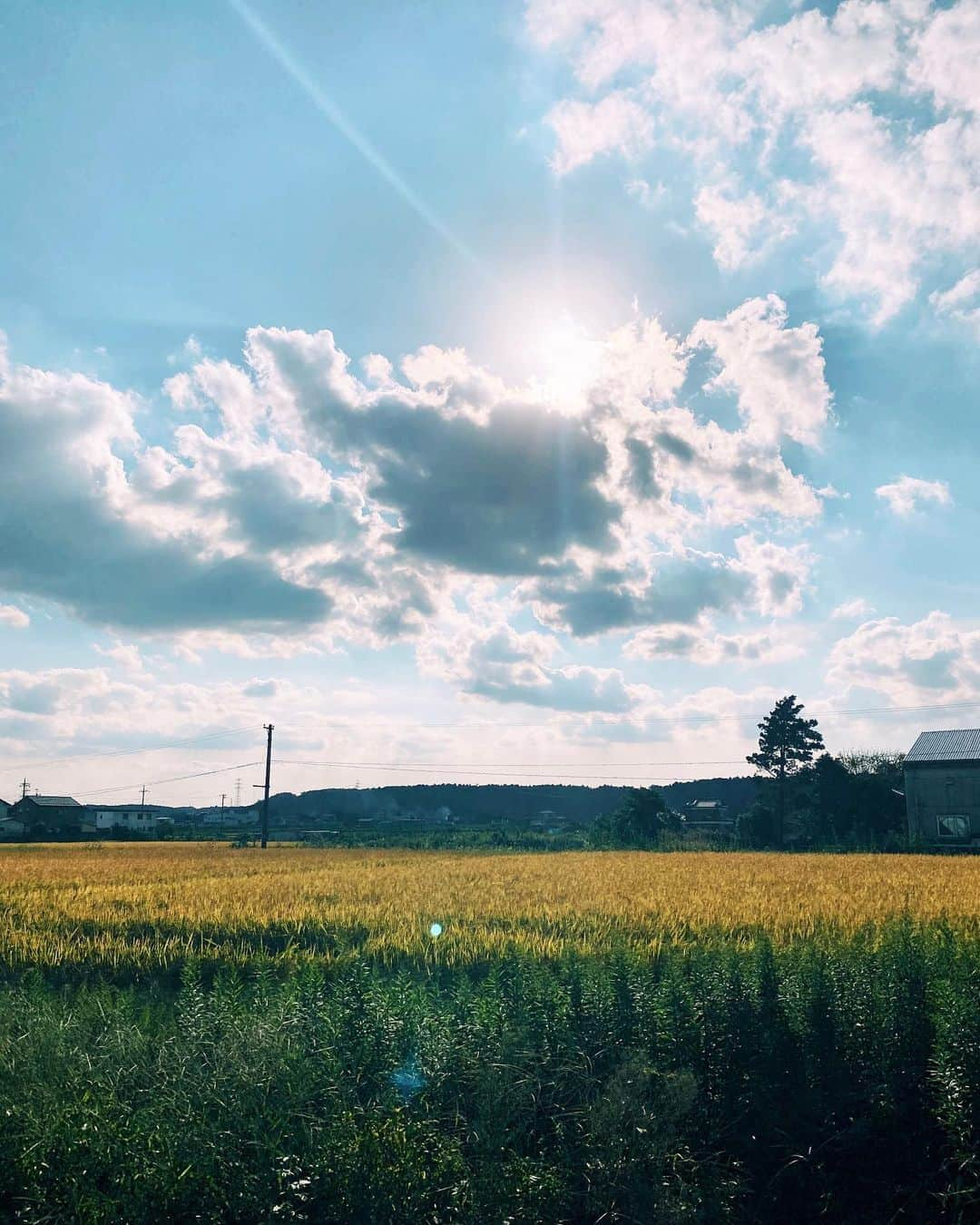 ジュリア・ミナトヤさんのインスタグラム写真 - (ジュリア・ミナトヤInstagram)「🍁🌾🍂🍠﻿ ﻿ ﻿ ﻿ ﻿ ﻿ ﻿ ﻿ ﻿ ﻿ ﻿ ﻿ #秋#ライフスタイル#autumn#nature#sky#lifestyle」10月15日 13時25分 - julia.minatoya