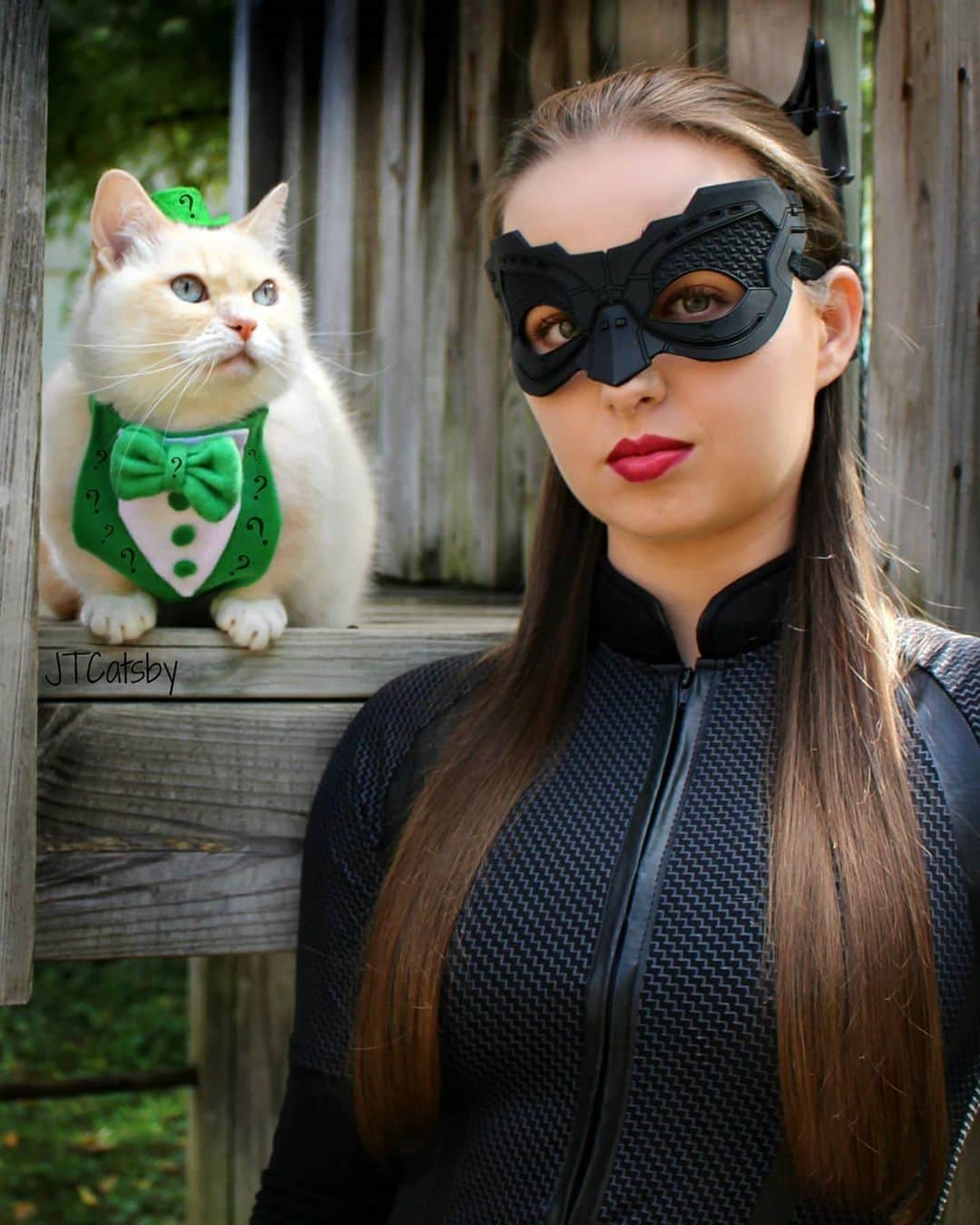 Aww Clubさんのインスタグラム写真 - (Aww ClubInstagram)「Riddle me this, Batman. Who are the Coolest Cats on IG?⠀ ⠀ 🎃@otisandjr⠀ ⠀ Hashtag #9GAGHalloween on your cat’s Halloween photos/videos and get a chance to be featured on @9GAG, and @Meowed!⠀⠀⠀ ⠀ #meowed #otisandjr #Munchkin #Munchkincat #gingercat #Halloween #Halloween2020 #MH2020 #9GAGHalloween」10月15日 14時00分 - meowed