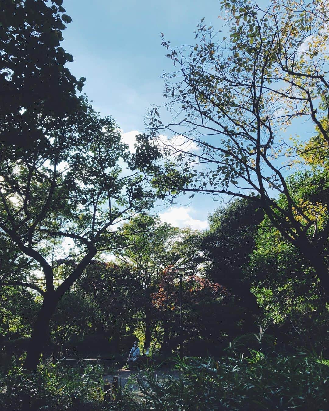 尾形沙耶香さんのインスタグラム写真 - (尾形沙耶香Instagram)「#autumnishere 🍂  #食欲の秋」10月15日 14時01分 - sayakaogata
