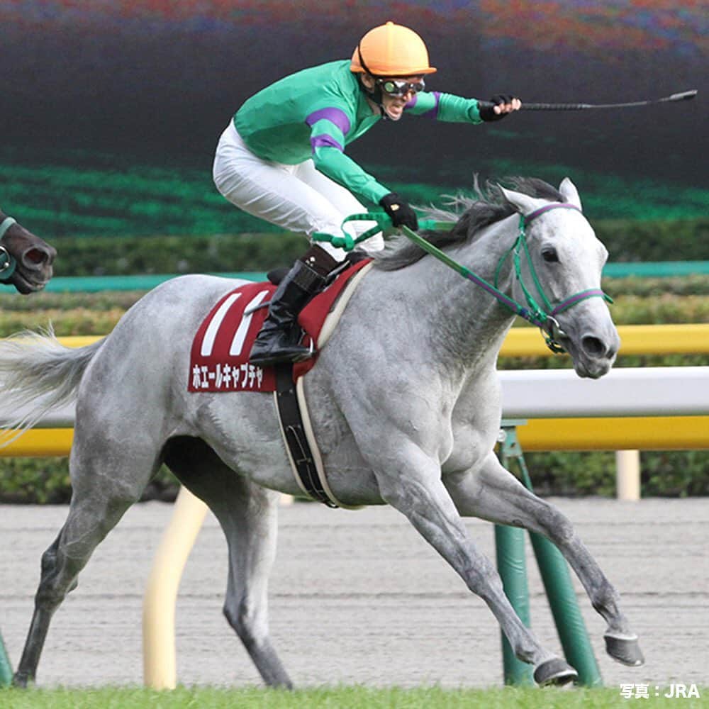 のインスタグラム：「今週の土曜日は、府中牝馬ステークス(GII)  #2013年の優勝馬は #ヴィクトリアマイル 優勝など #GI戦線で好走を続けた #ホエールキャプチャ #今はすっかりお母さんになって #子供たちの活躍を願っているよ #うまび」