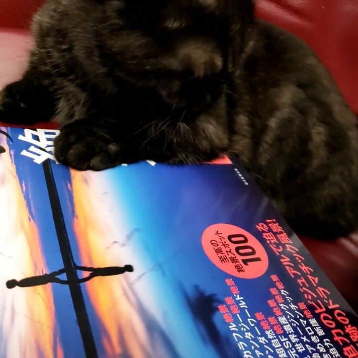 岡本真夜のインスタグラム