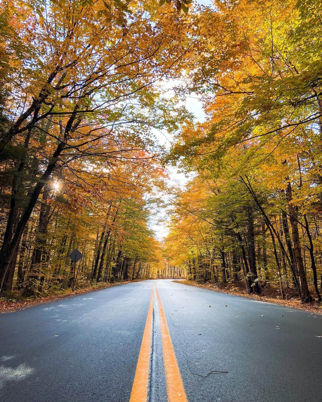 エリザベス・バイゼルさんのインスタグラム写真 - (エリザベス・バイゼルInstagram)「Mother Nature doing her thing 👑」10月16日 2時22分 - ebeisel34