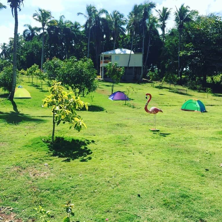 ジョーダン・ノルベルトのインスタグラム：「@haciendavistalinda 🦚🦚🦚」