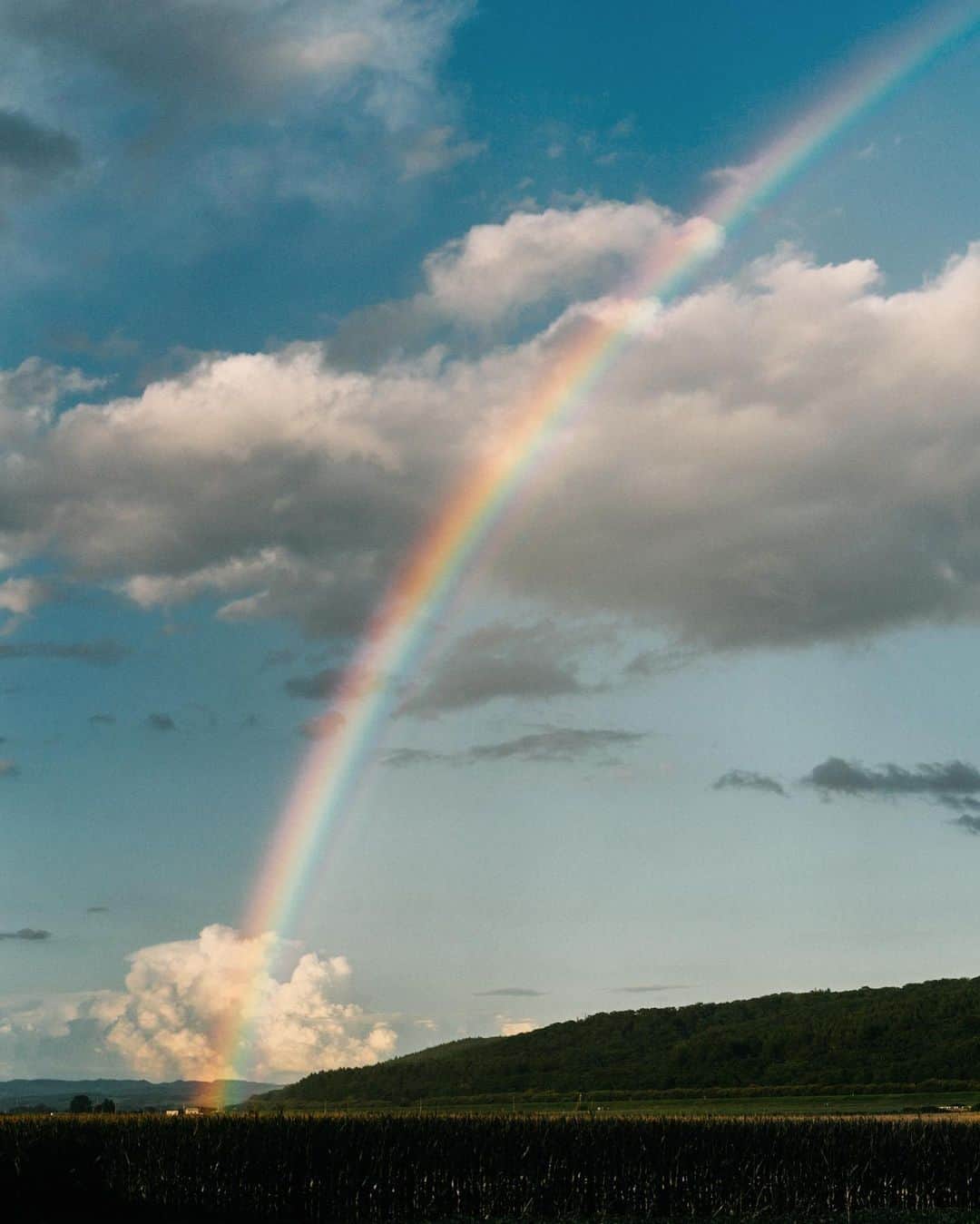 GENTAのインスタグラム：「🌈 She's a Rainbow 豊頃町は朝日堂のアメリカンドーナツがおすすめです。 この虹の向こうにお店があります。」