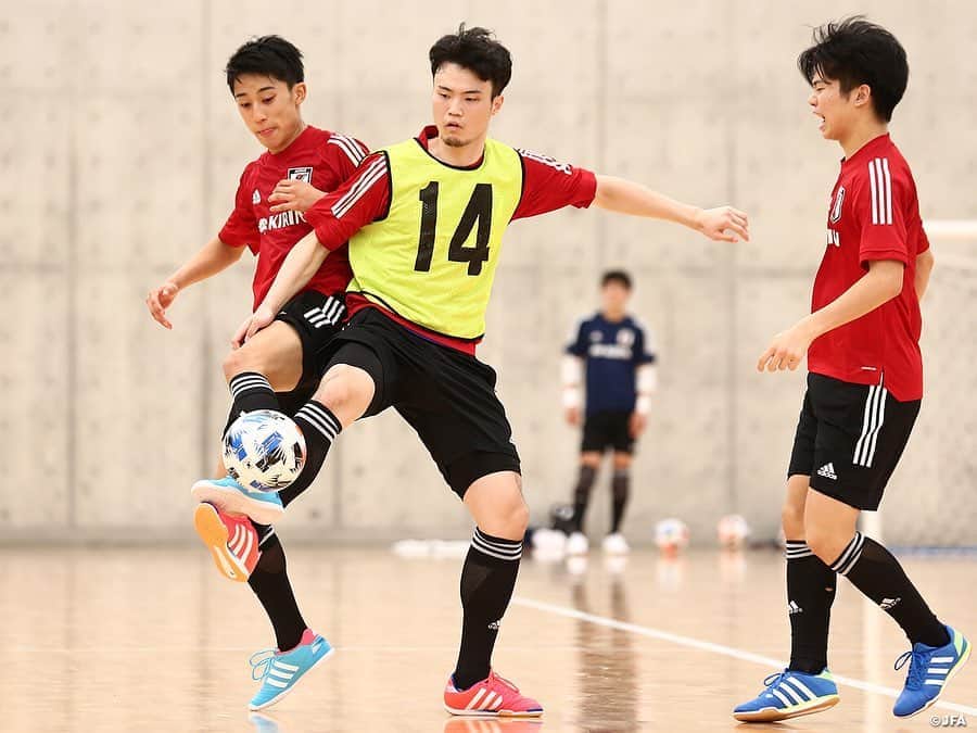 日本サッカー協会さんのインスタグラム写真 - (日本サッカー協会Instagram)「#U19フットサル日本代表 候補　新体制後初のトレーニングキャンプ📸 　　　　 10月12日(月)より始動したU-19フットサル日本代表候補は、2日目に2部トレーニングを実施しました。 　　　　 各セッションの冒頭はGK(ゴールキーパー)とFP(フィールドプレーヤー)が分かれてスタート。今回招集された3名のGK( #成田宇弘 選手・#中野杏慈 選手・#物部呂敏 選手)が、#内山慶太郎 GKコーチによるGKに特化した専門的なメニューに取り組みました。GKトレーニングを通して日本代表のGKとして求められる基準に到達できるよう3人で声を掛け合い一体となって精力的にハードなトレーニングに臨みました。 　　　　 その間、FPの選手は #木暮賢一郎 監督が用意した映像を用いたビデオミーティングに参加してチーム戦術の理解を深め、初日にできている部分と課題となっている部分を頭に入れた上でトレーニングへ向かいました。 　　　 全体のトレーニングではウォーミングアップ終了後、事前に共有されたチーム戦術を実際にアリーナで実践していきます。木暮監督は時おりプレーを止めて1つ1つの戦術の狙いや上手く体現するための動き方や頭の使い方を選手全員に指導し、それを受けた選手は同じセットのメンバーで何度もコミュニケーションを取りながら試行錯誤して習得を目指しました。 　　　　 トレーニングを終えてホテルで夕食を取った後は世界のトップレベルでフットサルをプレーすることを念頭に、#下地達朗 フィジカルコーチから身体を作るための食事の取り方や世界のトップレベルの選手たちの体格や体脂肪率について、招集された選手たちが初日に測定したデータと比較しながら説明を受けました。 　　　　 #daihyo #jfa #futsal」10月15日 19時07分 - japanfootballassociation