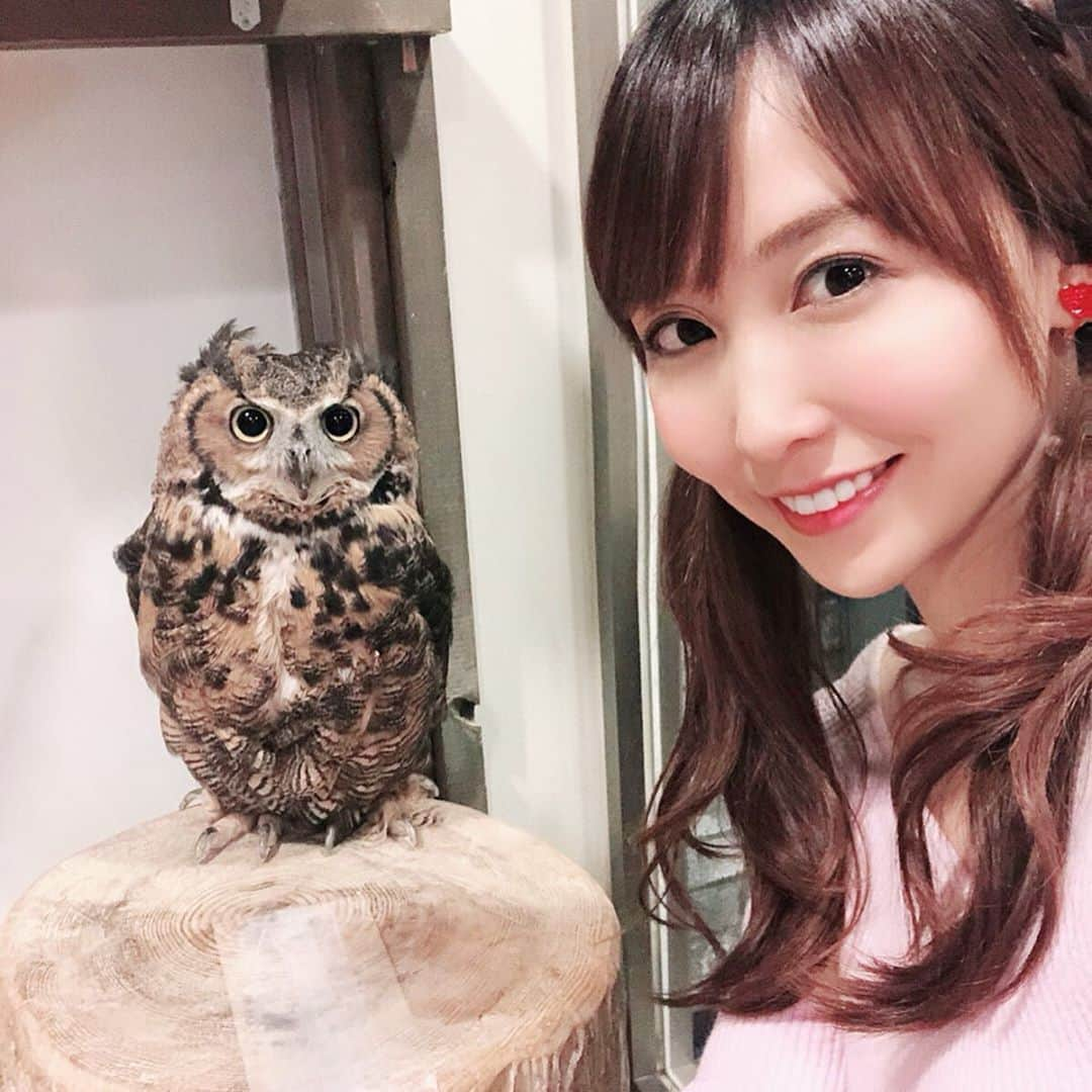 長久梨那さんのインスタグラム写真 - (長久梨那Instagram)「． 愛用中の #あんず美人石鹸 ＆ #あんず美人ますく ✨ 以前イベントをさせていただいた吉祥寺のふくろうカフェ #格闘梟 にて好評発売中❣️ おすすめです❤️ #美容 #おすすめ #おすすめコスメ #石鹸 #洗顔 #マスク #パック #あんず #美人 #吉祥寺 #ふくろう #フクロウ #ふくろうカフェ #フクロウカフェ #カフェ #吉祥寺カフェ #格闘技 #ふくろうの里吉祥寺 #beauty #beautiful #makeup #followme」10月15日 19時08分 - rinanagahisa