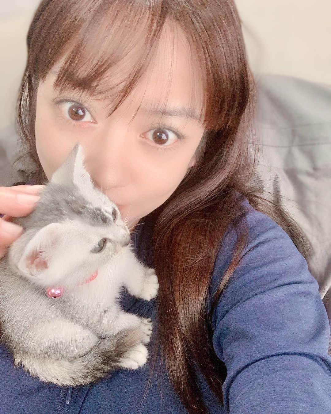 HANAさんのインスタグラム写真 - (HANAInstagram)「お疲れさまです🌙.*·̩͙ . . 最近は毎回みーちゃ❤ネタですみません(´>∀<｀)ゝ . . 最近…私がソファに座ると喉をゴロゴロ鳴らしつつ🐱ミーミーいいながらよじ登り😅私の首元でくつろぐみーちゃ❤です(´>∀<｀)ゝ . . でも、一番心を開いてるのは次男くん👦🏻にかな～🤗 次男くんの前ではスグにお腹丸出しの仰向けになって寝てるもん🤣←📷撮ろうとすると起きちゃったりして、なかなか上手く撮れないけど😅絶対！ベストショット撮ったる(๑•̀ •́)و✧ . . #猫#保護猫#猫好き#猫のいる生活#みーちゃ🐱#アラフォー#アラフィフ#大人女子#オトナ女子#中学生ママ#高校生ママ#セルフィー#セルフポートレート#自己満グラム#45歳#40代#40代女子#40代ママ#미인 #age45#selfim#smile#japanese#photooftheday#followme#asianbeauty#instagood」10月15日 19時15分 - hana.87ohana