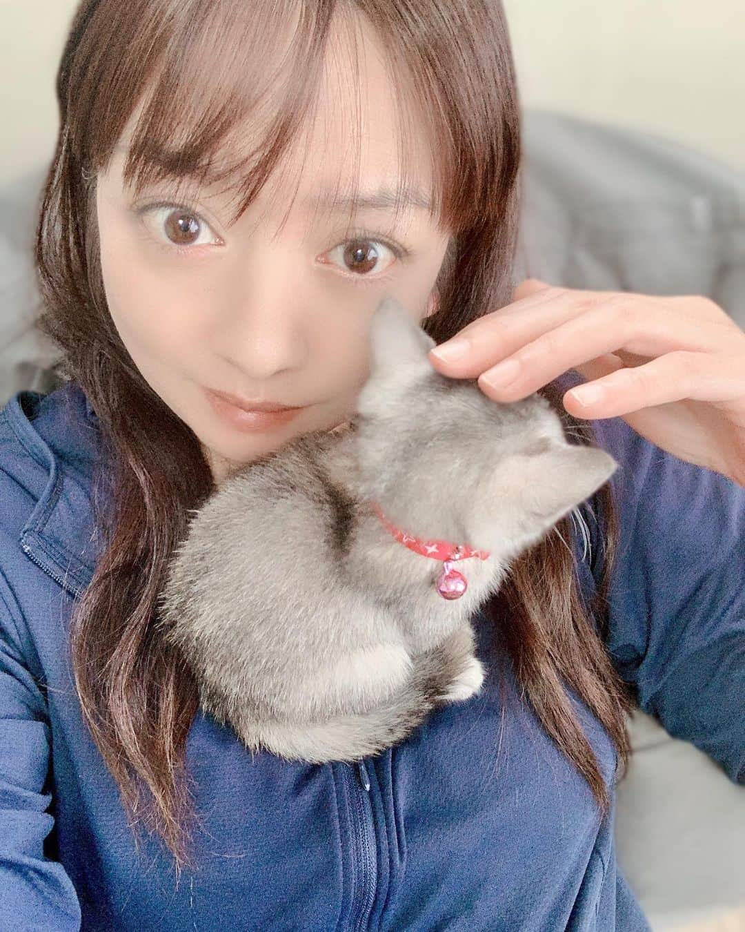 HANAさんのインスタグラム写真 - (HANAInstagram)「お疲れさまです🌙.*·̩͙ . . 最近は毎回みーちゃ❤ネタですみません(´>∀<｀)ゝ . . 最近…私がソファに座ると喉をゴロゴロ鳴らしつつ🐱ミーミーいいながらよじ登り😅私の首元でくつろぐみーちゃ❤です(´>∀<｀)ゝ . . でも、一番心を開いてるのは次男くん👦🏻にかな～🤗 次男くんの前ではスグにお腹丸出しの仰向けになって寝てるもん🤣←📷撮ろうとすると起きちゃったりして、なかなか上手く撮れないけど😅絶対！ベストショット撮ったる(๑•̀ •́)و✧ . . #猫#保護猫#猫好き#猫のいる生活#みーちゃ🐱#アラフォー#アラフィフ#大人女子#オトナ女子#中学生ママ#高校生ママ#セルフィー#セルフポートレート#自己満グラム#45歳#40代#40代女子#40代ママ#미인 #age45#selfim#smile#japanese#photooftheday#followme#asianbeauty#instagood」10月15日 19時15分 - hana.87ohana