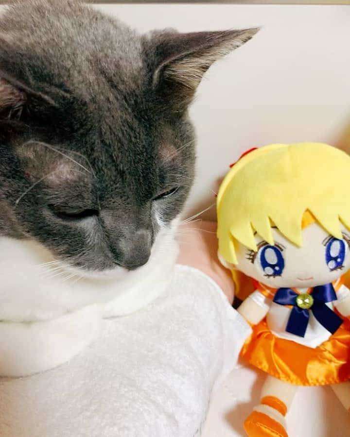 後藤紗亜弥のインスタグラム