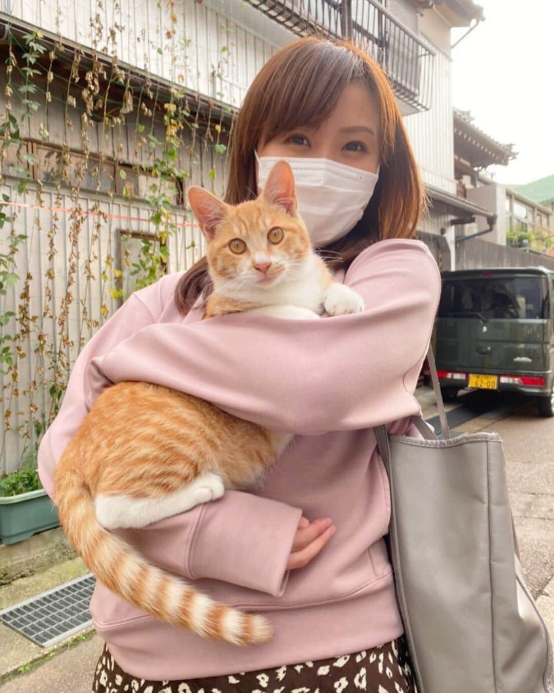 南條早紀のインスタグラム：「いまのスマホのロック画面🐈❤️ . . きのうの取材中、出会った猫ちゃん。 人懐っこくて抱っこさせてくれた… かわいい、かわいいよ…🤤❤️ . . ばっちりカメラ目線もいただいて デレデレ。むふふ。。 . . #富山 #富山県 #小矢部 #小矢部市 #猫 #ねこ #ネコ #ねこすたぐらむ #ねこすきさんと繋がりたい #かわいい #可愛い #癒し #にゃんこ #にゃんすたぐらむ  #猫飼いたい #たまらない #肉球 #おてて #ねこ好き #茶トラ #美猫 #美しい #ロック画面 #スマートフォン #🐈 #🐾 #アナウンサー #南條早紀 #なんじょうのにちじょう #❤️」