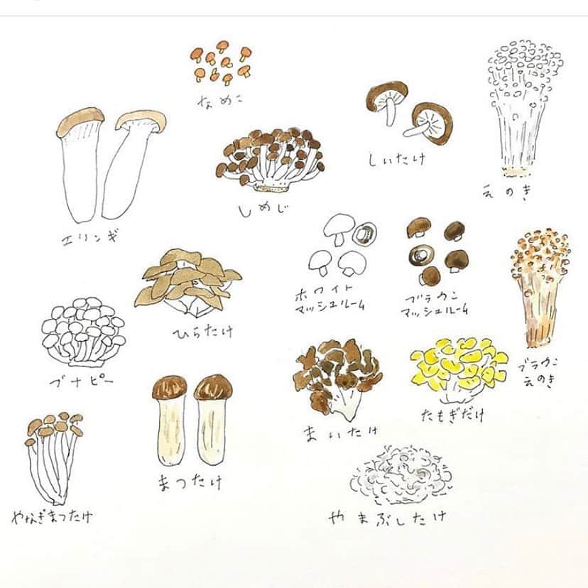ハルペイさんのインスタグラム写真 - (ハルペイInstagram)「🍄 秋じゃなくても最近はきのこがたくさんあるけど、やっぱりなんか秋の食べ物🙂 今日はきのこの日なんだって！ きのこたっぷり🍄鍋食べたい❤️😙❤️ 🍄 #きのこの日  #きのこ料理 #きのこ #秋の味覚 . #食べ物イラスト .  #harupei#ハルペイ#doodle#draw#drawing#illustrator#illustration#japan#絵#雑貨#湘南#イラスト#イラストレーター#ゆるい#茅ヶ崎」10月15日 19時50分 - harupeipei
