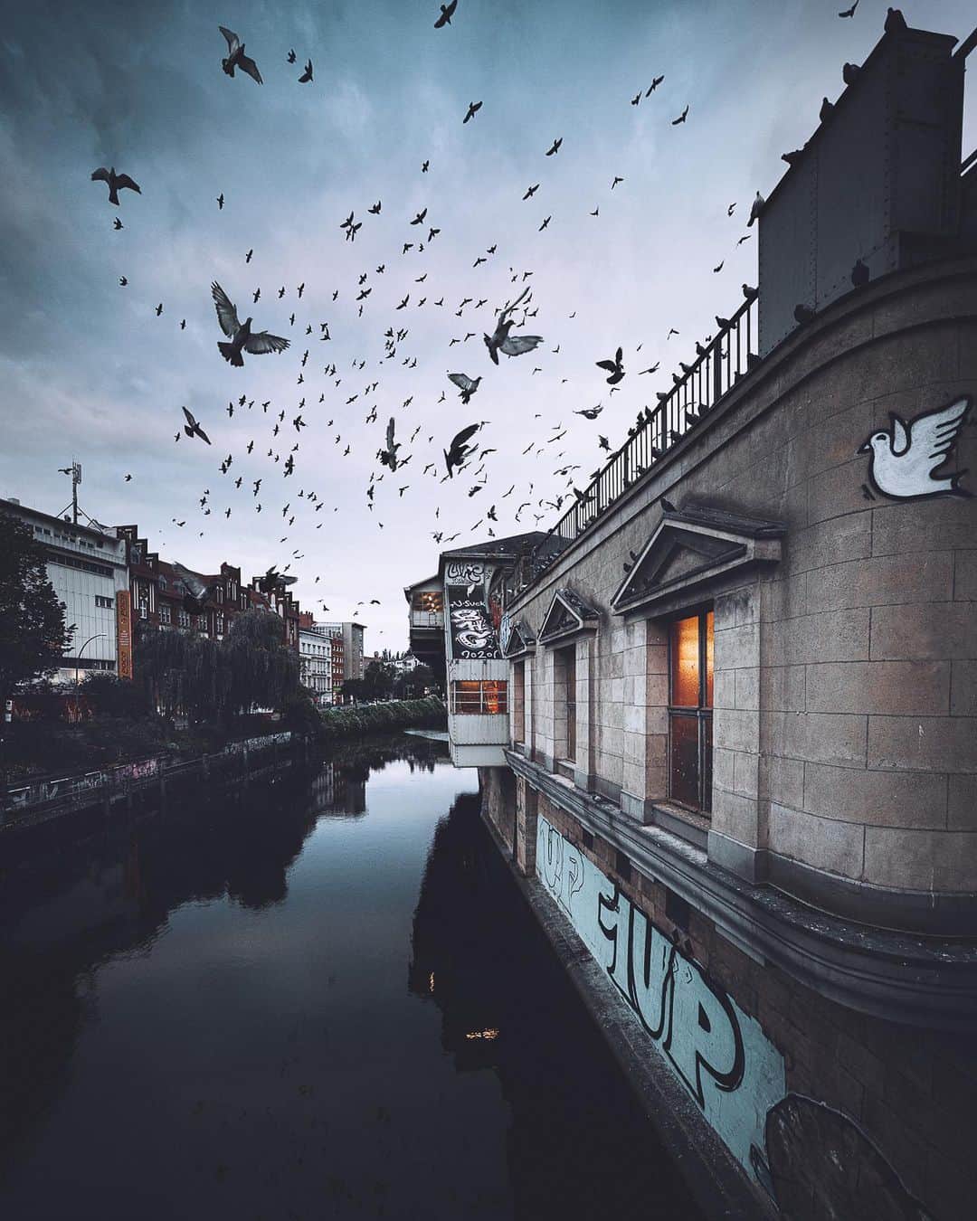 Thomas Kakarekoのインスタグラム：「gone bird watching  Captured with the all new 12-24mm 2.8 GM lens by @sony.deutschland  #berlin #sonyalpha #bealpha」