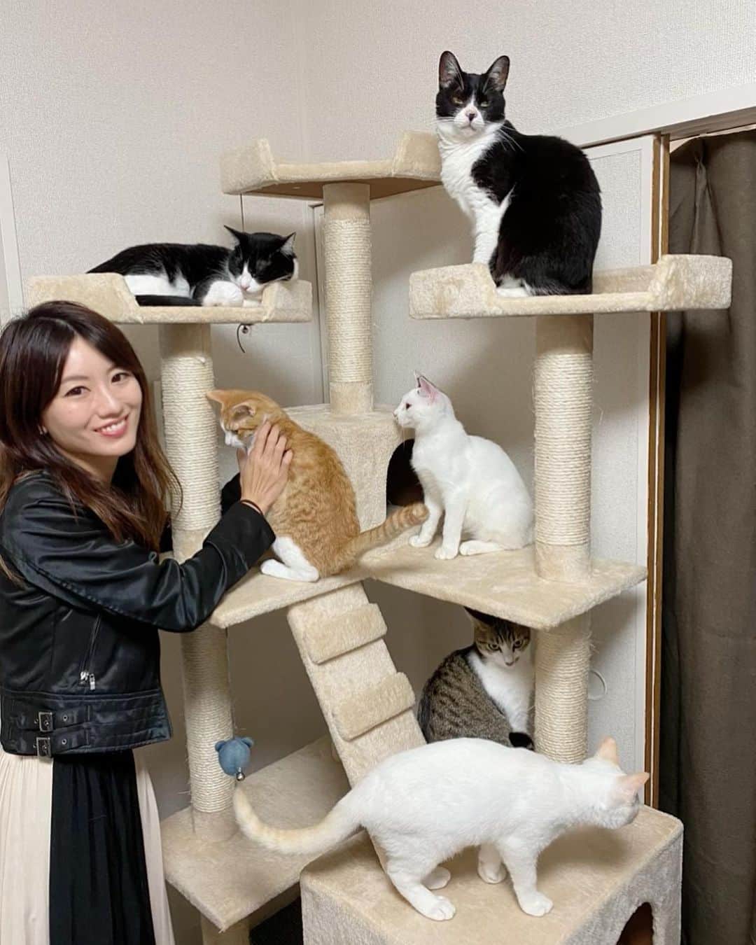 にゃんさんゴルフのインスタグラム