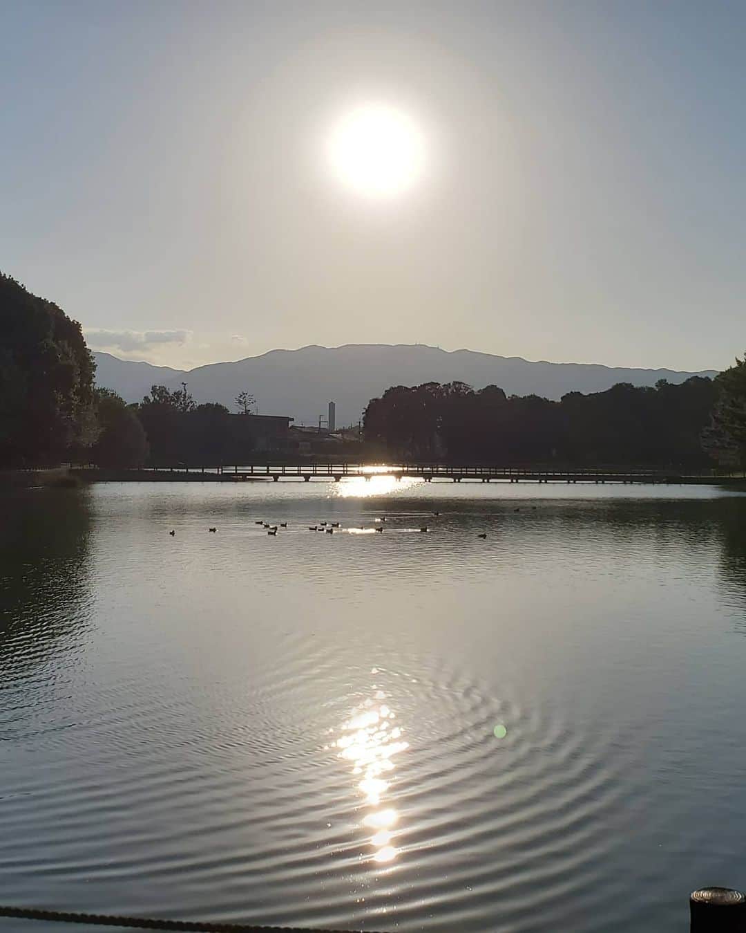 広瀬みくさんのインスタグラム写真 - (広瀬みくInstagram)「#橿原神宮 ⛩ めっちゃ素敵な場所やったー🥺✨ . 自然いっぱいで、 大きな池には生き物がたくさんいて。 （池での写真はまた別で投稿します♡） . めっちゃ癒やされた😌❤また行きたいなぁ♪ . . #奈良 #神社 #奈良観光 #鳥居 #自然 #池 #山 #青い空 #おでかけ #楽しかった #nara #japan #shrine #scenery #trip #japanesegirl #model #noela #resexxy」10月15日 20時20分 - miku__hirose