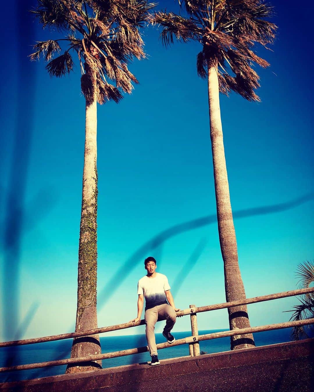 徳南堅太さんのインスタグラム写真 - (徳南堅太Instagram)「宮崎の南☀️  まるで海外のビーチリゾートのように真っ青な海が広がる日南海岸をバックに、７体の大きなモアイ像があります🗿﻿ ﻿ どこまでも続く青い空と、大海原をバックにそのモアイ像が立ち並ぶ姿は、まるで日本ではないかのようなスケールの大きさ🌊﻿ ﻿ 宮崎県に行ったら #サンメッセ日南 に立ち寄ってみては如何でしょうか﻿🌴 ﻿ ちなみに入場料800円💰﻿ ﻿ #宮崎 #サンメッセ #日南 #海 #空 #ビーチ #モアイ #ブランコ #フォトジェニック #映え #写真 #ふぉとじぇにっく #sun #sky #beach #sea #Photo #photooftheday #photogenic #portraitphotography #portrait_shots #moai﻿ ﻿」10月15日 21時23分 - tokunan