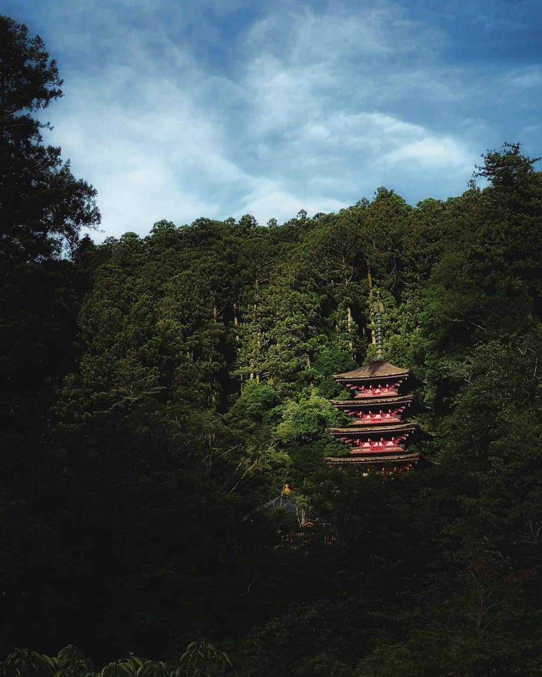 Koichiのグルメインスタ