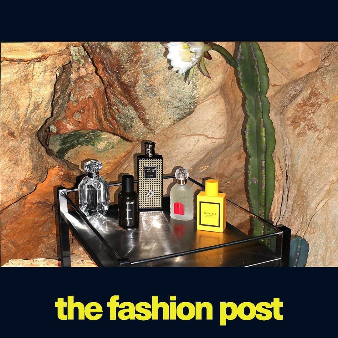 The Fashion Postのインスタグラム