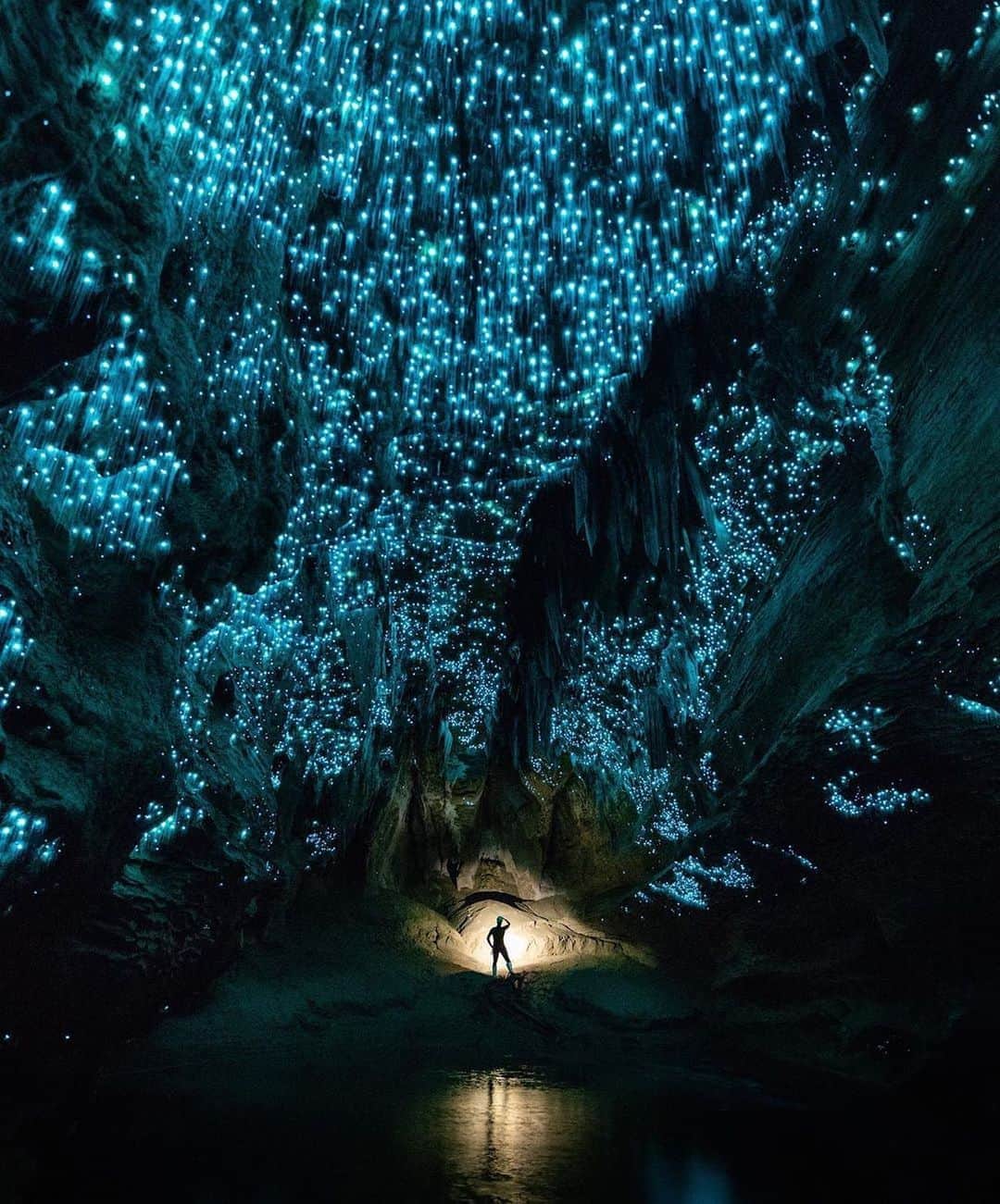 BEAUTIFUL DESTINATIONSさんのインスタグラム写真 - (BEAUTIFUL DESTINATIONSInstagram)「Look at them glow! ✨ Glowworms can be found throughout New Zealand, and are often found in damp, overgrown places like banks of lakes, rivers, and forest undergrowth. These luminescent creatures glow to attract insects, which they catch in their sticky lines and eat.  What are the most awe-inspiring experiences on your bucket list? Share them with us in the comments below. 🙌🏼  📸 @shaun_jeffers 📍  New Zealand」10月15日 23時04分 - beautifuldestinations
