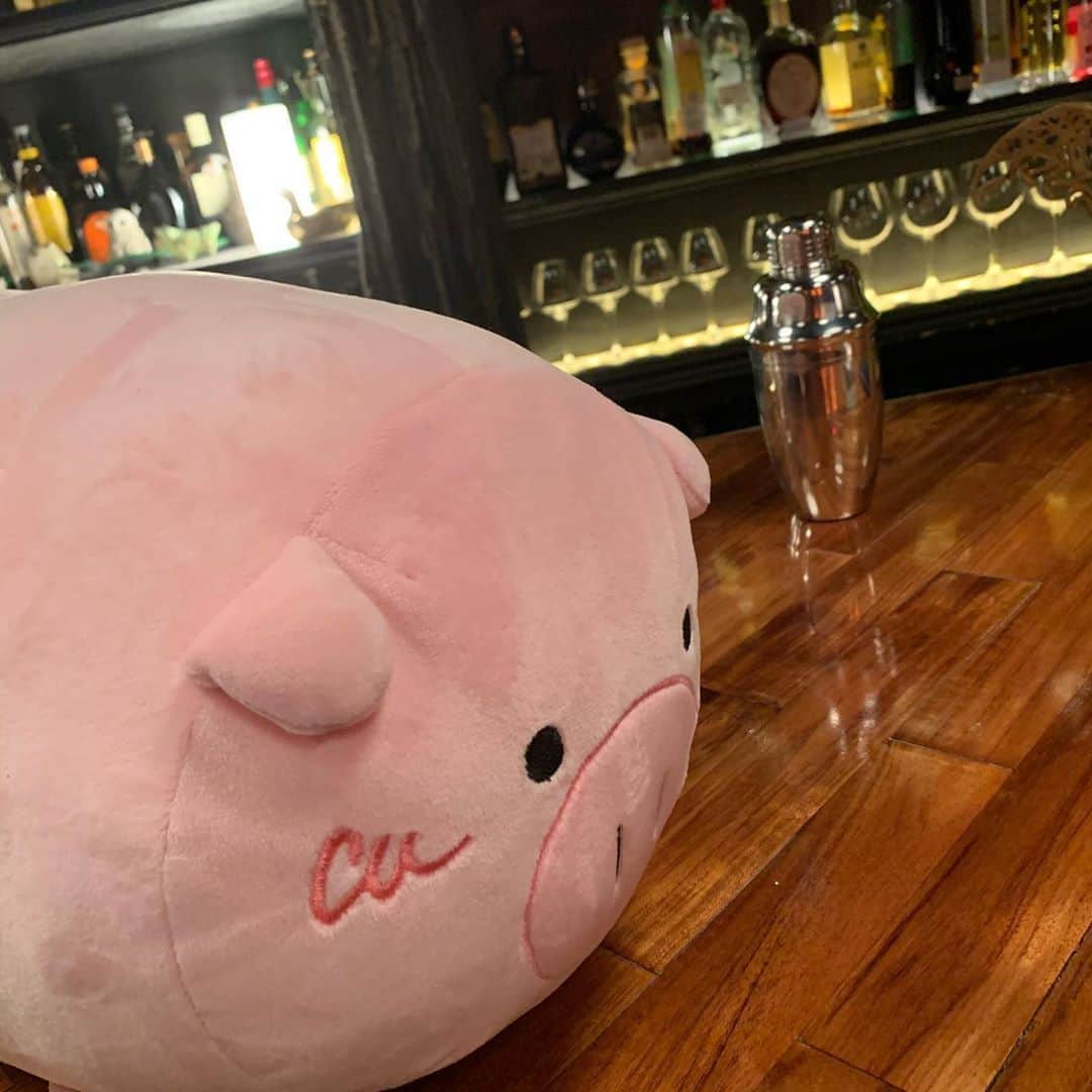 日曜劇場『危険なビーナス』【公式】のインスタグラム：「現場レポート　その18🐖🐖🐖 . . 今日は、はじめての現場にお邪魔🐽 お酒がいっぱい…🍸 . そういえば黒ネコさんも見かけました🐈 . とっても優しい声が聞こえて今夜は気持ちよく眠れそう🐷💤 . . #日曜劇場 #危険なビーナス #東野圭吾 #ブーナス #ブーナスの現場レポート #妻夫木聡 #吉高由里子 #ディーンフジオカ #染谷将太 #中村アン #堀田真由 #結木滉星 #福田麻貴 #3時のヒロイン #R指定 #CreepyNuts #麻生祐未 #坂井真紀 #安蘭けい #田口浩正 #池内万作 #栗田芳宏 #栗原英雄 #斉藤由貴 #戸田恵子 #小日向文世 #安全なビーナス」