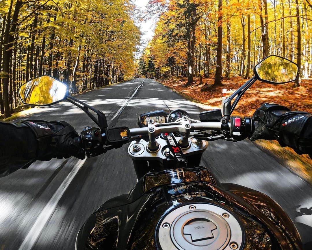 goproさんのインスタグラム写真 - (goproInstagram)「Photo of the Day: Flying through fall with @maxa_t 🏍 🍂 ⠀⠀⠀⠀⠀⠀⠀⠀⠀ @GoProCZ #GoProCZ #GoPro #Motorcycle #Fall」10月15日 23時55分 - gopro