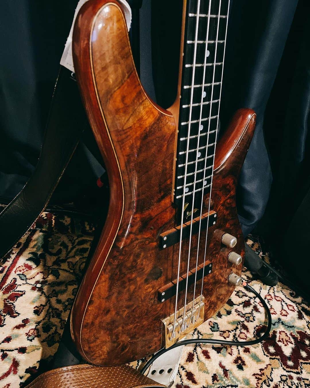 休日課長さんのインスタグラム写真 - (休日課長Instagram)「かけがえの無い存在。 #bass #sugi #sugiguitars  @sugi_guitars」10月16日 0時06分 - kyujitsu_kacho