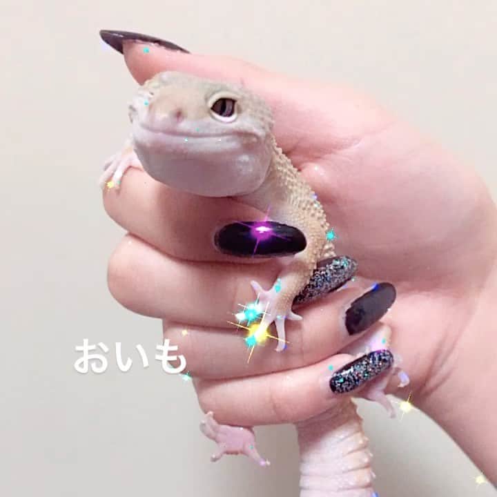 赤荻百華のインスタグラム