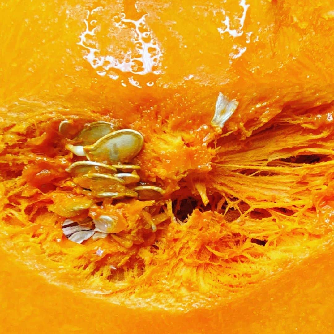 ケリスのインスタグラム：「Pumpkin season is upon us ! Now that's sexy. Did you know pumpkins are a great source of beta-carotene, potassium, vitamins A , and E and other minerals . These were all picked straight from our farm harvested by Knight and shepherd . Are you ready for all the spiced pumpkin goodness that's in your future? Tomorrow's GOLD MINE BOX HAS BOUNTY FARMS BEYOND ORGANIC SPICED CURRY COCONUT PUMPKIN SOUP IN IT. Who's ready ???!! Link in bio , turn your notifications on fam ! #autumn #fall #pumpkin #indigenous #bipoc #farmer #blackfarmer #goodfood #eatwell #healthylifestyle #food #foodporn #delicious」