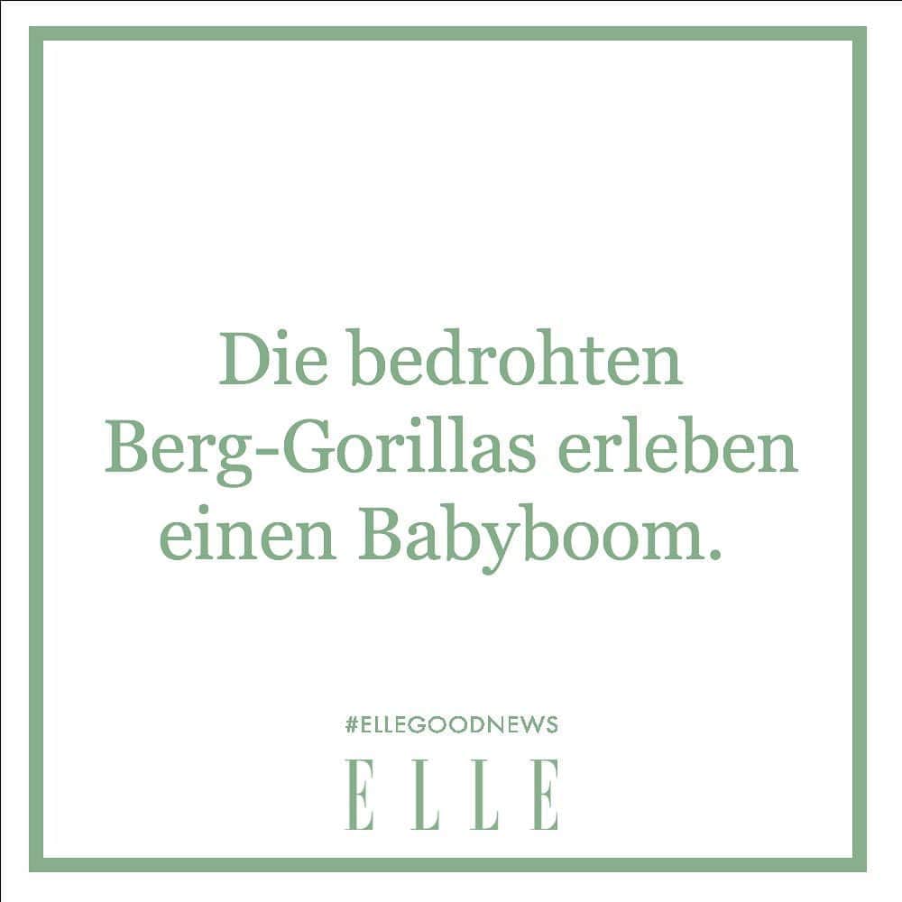 ELLE Germanyのインスタグラム