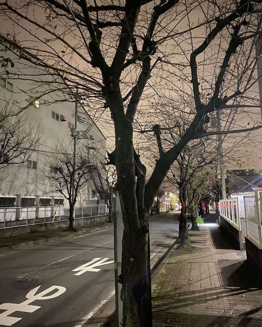 村上隆さんのインスタグラム写真 - (村上隆Instagram)「Came back to STUDIO. OSANPO_ Take a walk is done. Good night.🎴」10月16日 0時57分 - takashipom