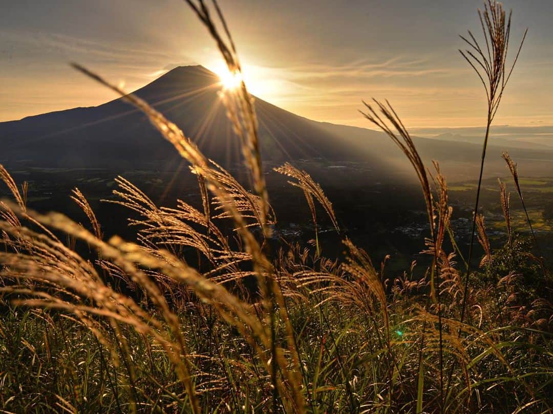 phantastic420のインスタグラム：「. 🤩🤩“Shizuoka” prefecture in Japan is a place where you can see the most “phantastic” Mt. Fuji🗻 in the world.🤩 #富士山 #mtfuji #japan #shizuoka #fujinomiya  #宮すた #miyasta @fujinomiyacity  #phantastic420photography #mostphantasticmtfuji #selamatpagi  #goodmorning  #おはようございます  #สวัสดี 🙏#สวัสดีครับ 🙏🇹🇭😇😇😇😇😇🗻😇😇😇😇 🇹🇭#Thailand now 🤣#サワディーカップ 🙏#サワディー 🙏」
